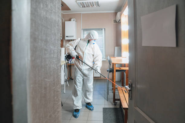 Best Mold Remediation for Healthcare Facilities  in Satellite Beach, FL