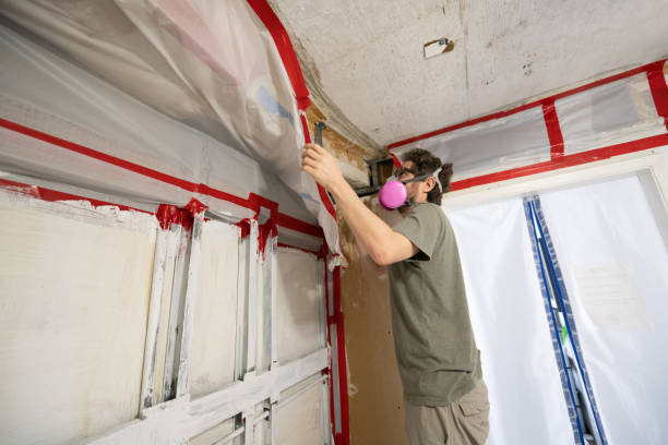 Best Attic Mold Removal  in Satellite Beach, FL